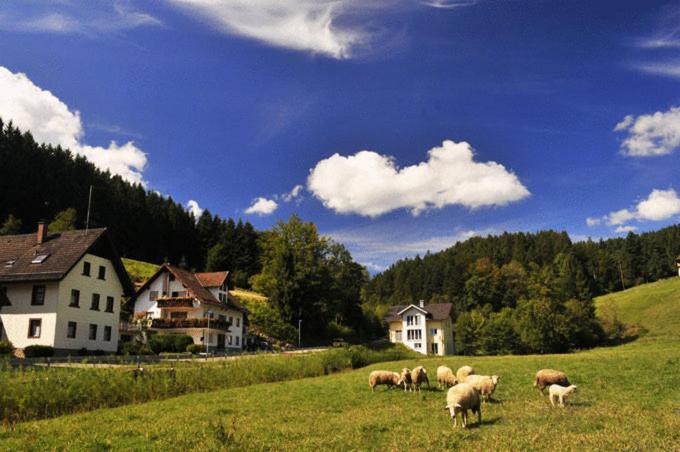 Hirschen-Dorfmuehle Hotel Biederbach Baden-Württemberg Buitenkant foto